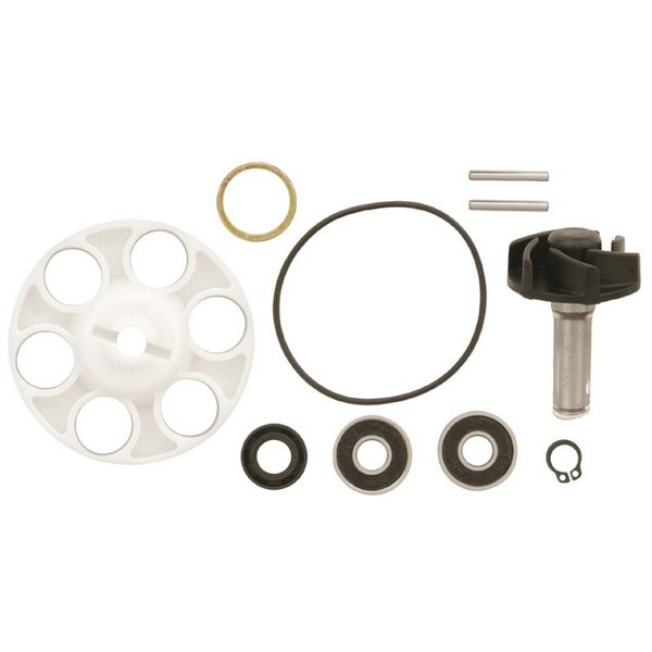 Kit reparación bomba de agua TECNIUM motor Minarelli Horizontal FS-129B-1-M