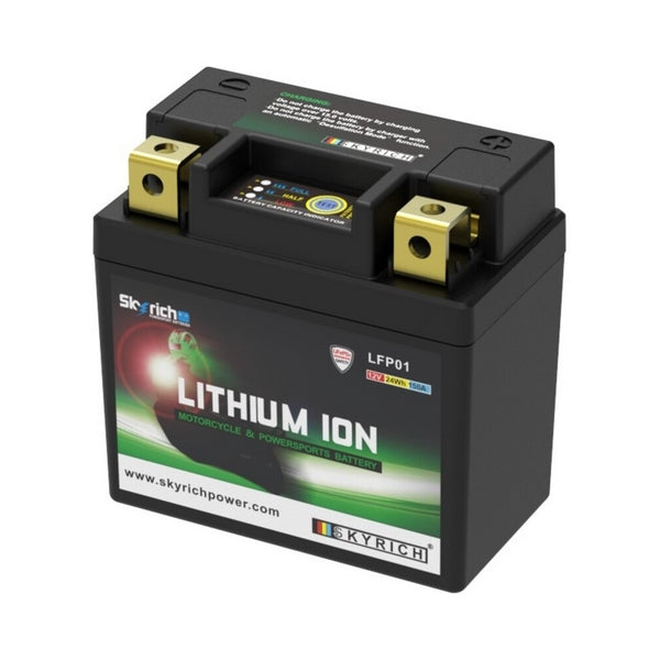 Batería de litio SKYRICH - LFP01