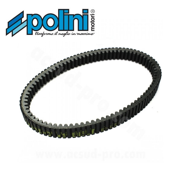 Correa POLINI de doble dentado Evolution 248.089